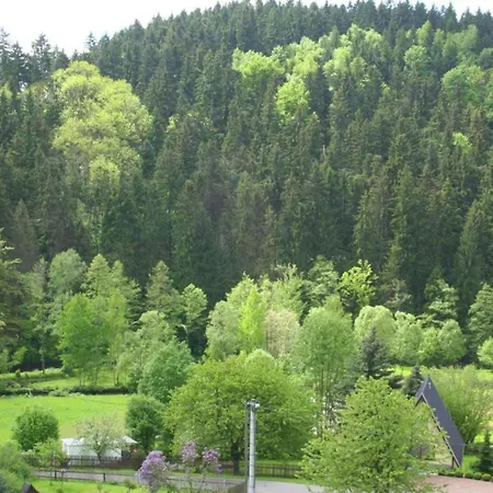 Sunny Escape In Borstendorf, Cleaning Included فيلة Grunhainichen