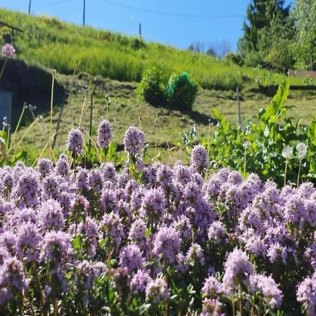 Sunny Escape In Borstendorf, Cleaning Included فيلة